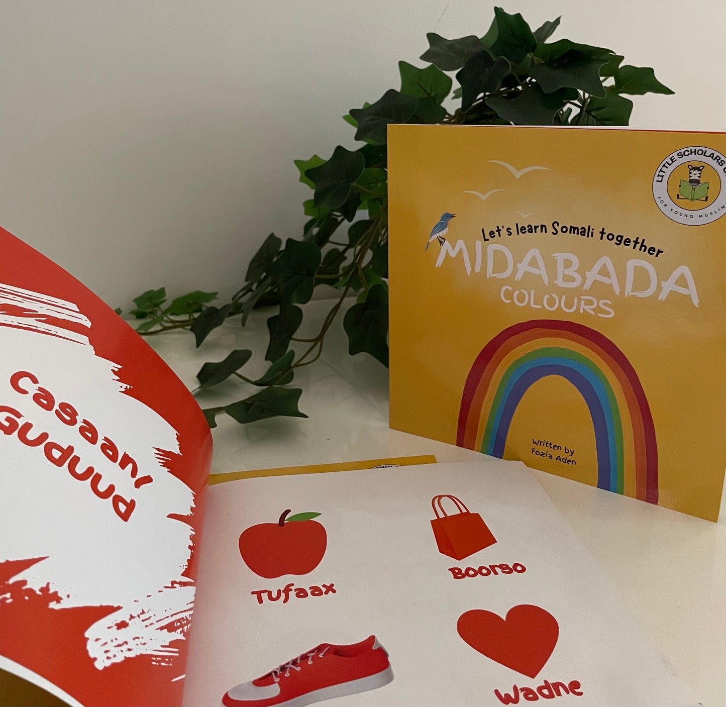 Let's learn Somali together: Midabada (Colours)