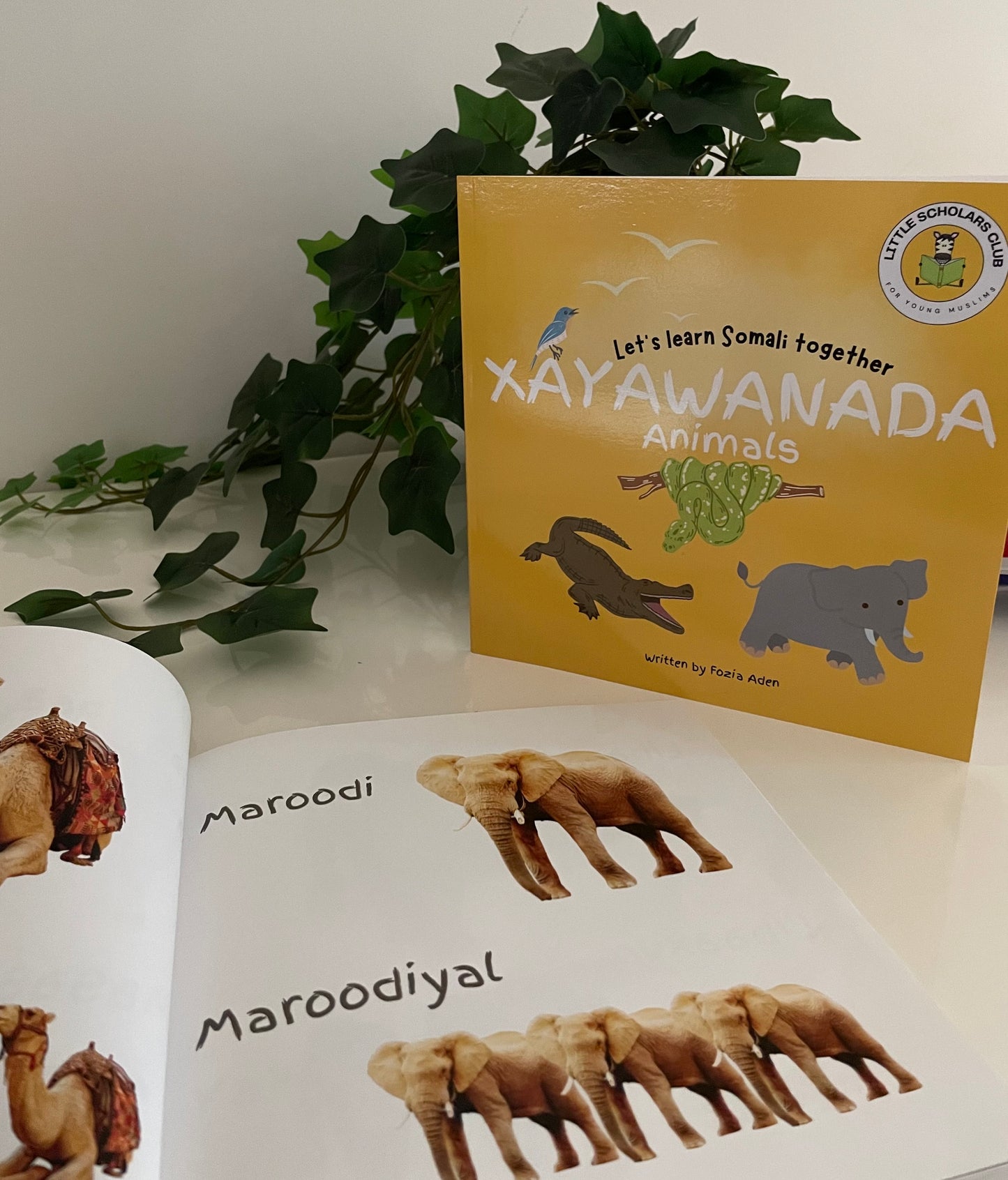 Let's Learn Somali together: Xayawanada (Animals)