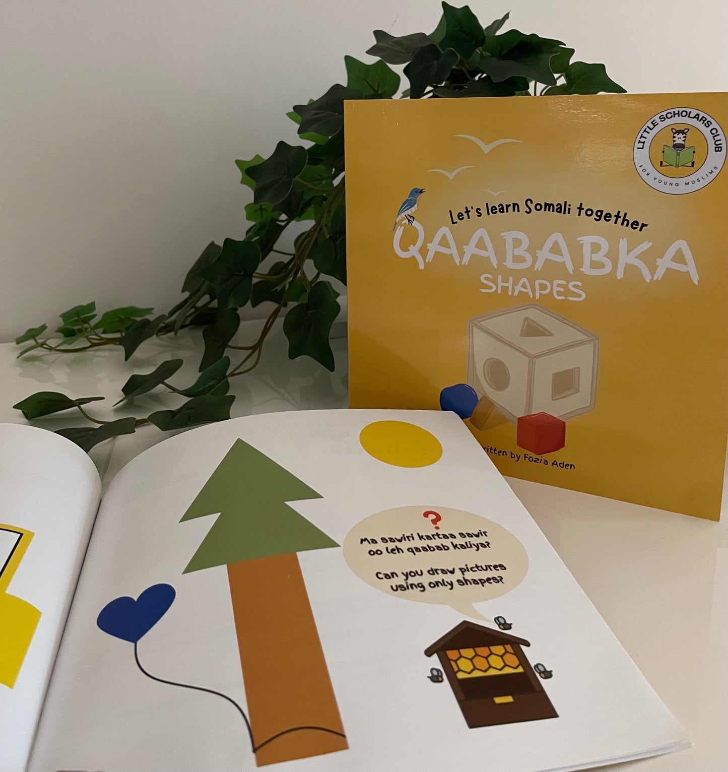 Let's learn Somali together: Qaababka (Shapes)